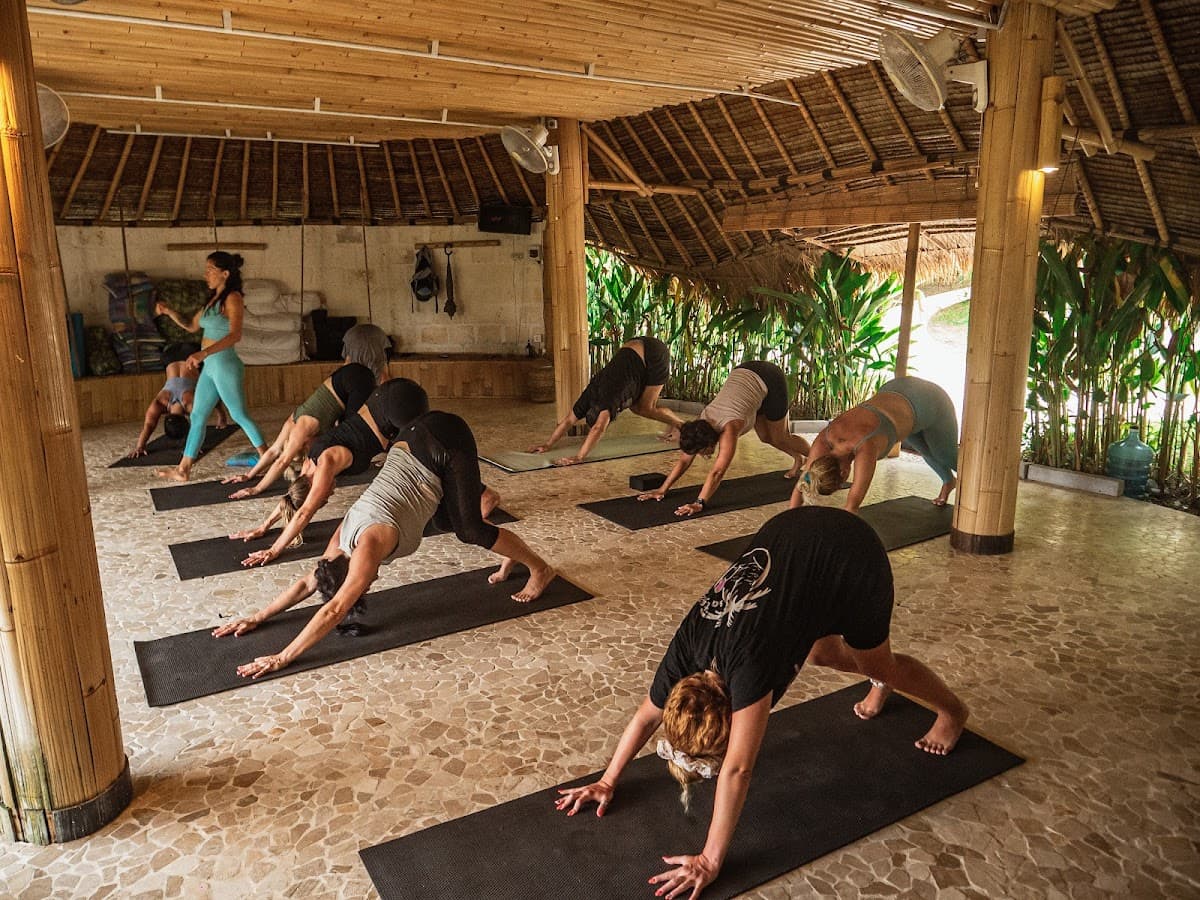 Luminous Yoga School