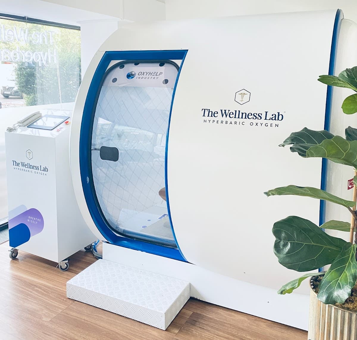 The Wellness Lab logo