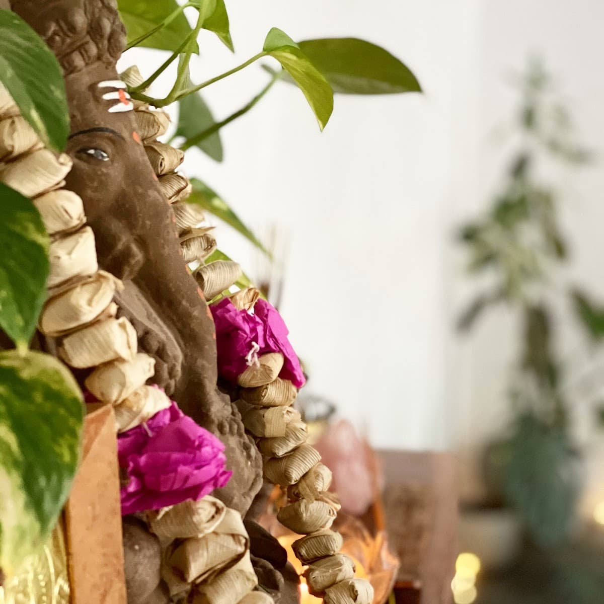 Open House Yoga logo