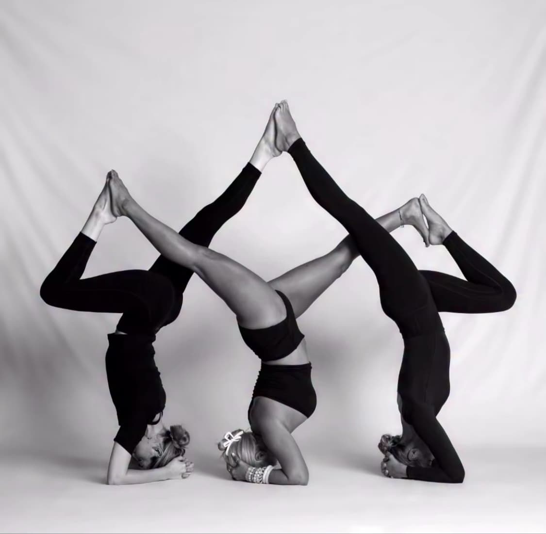 Phuket All Yoga logo