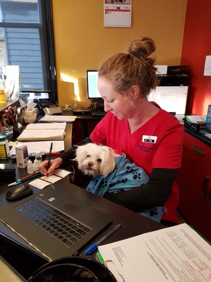 Sandy Bay Holistic Veterinary Clinic logo