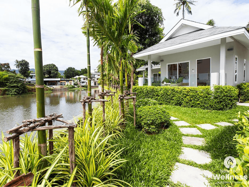 New Leaf Wellness Resort