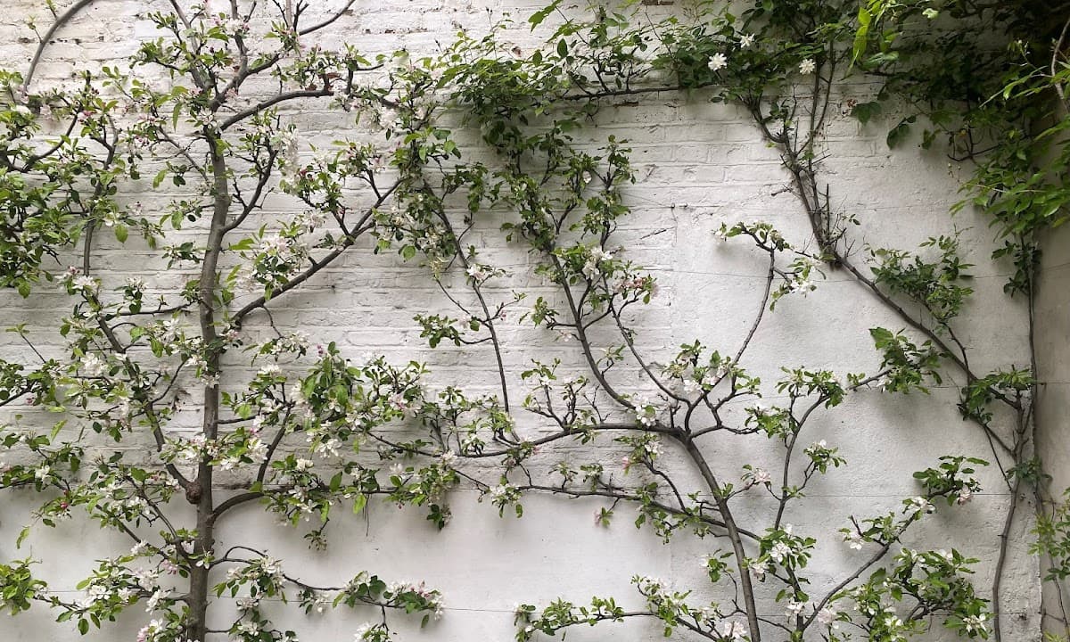 Holistic Training and Therapies logo