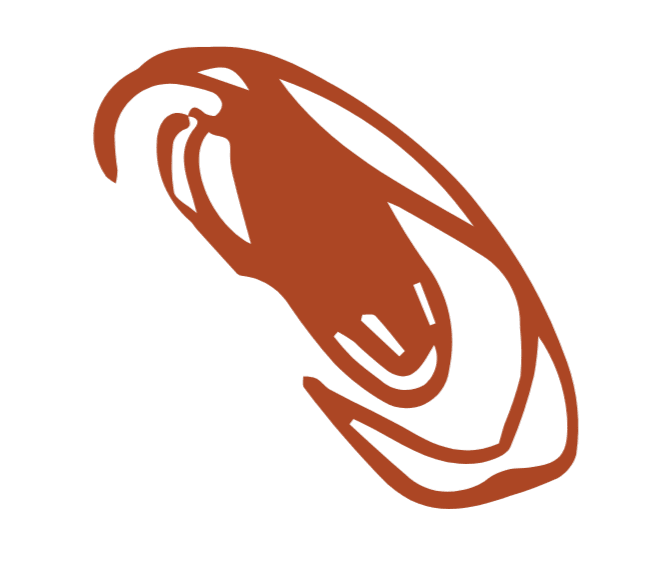 200 Hour Teacher Training - Sacred Seeds Yoga School Tasmania