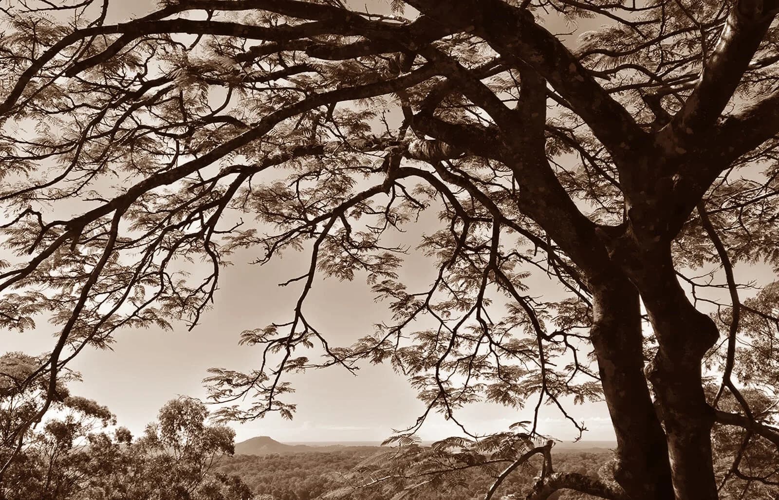 Systemic & Family Constellations Workshop