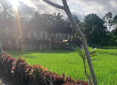 Firefly Retreat Bali - 7-Day Yoga Retreat 1
