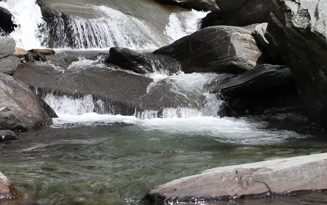 Somatic Embodying - Alexander Technique, Somatic Experiencing logo