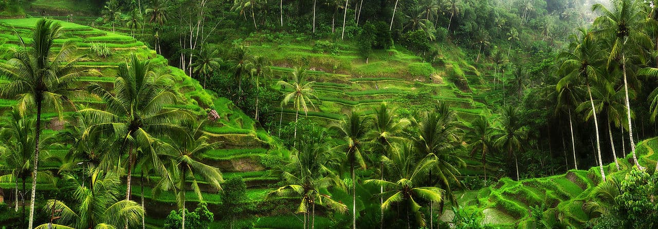 300-Hour Advanced Yoga Teacher Training - Embody Your Light 1