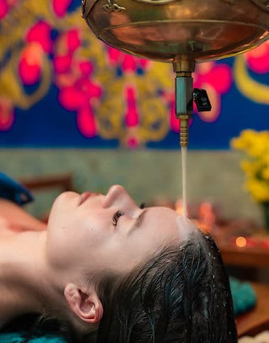 Digestive Wellness & Gut Health Program 1