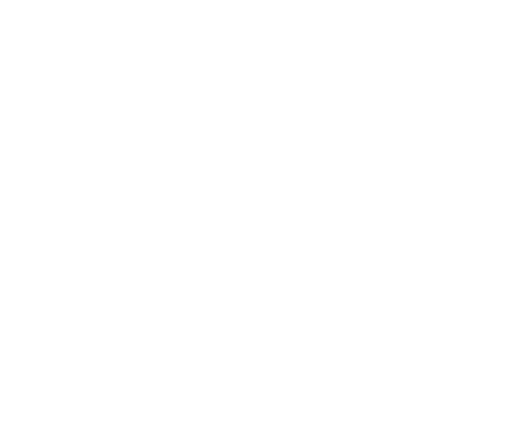 Nosara Springs Wellness & Retreat Center logo