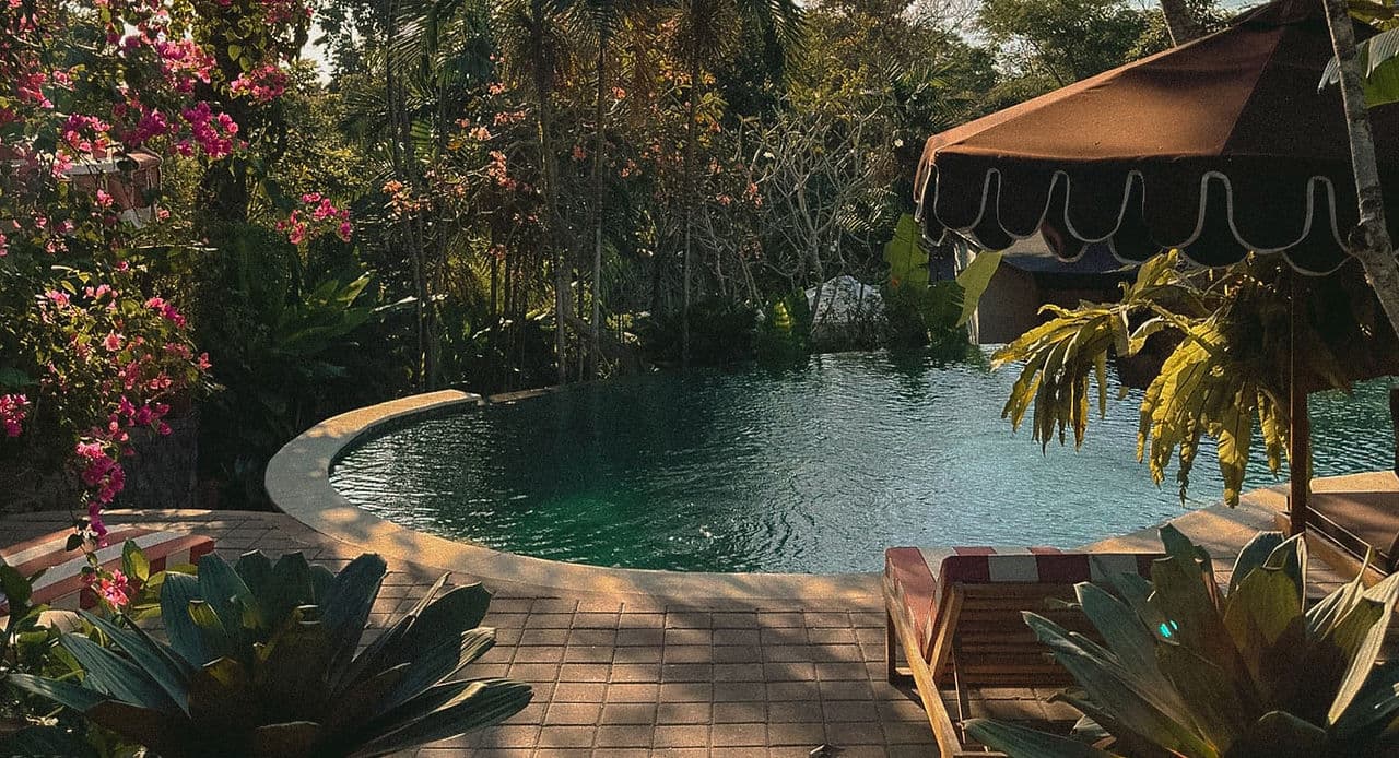 Alam Wellness Bali - Spa • Salon • Cafe logo