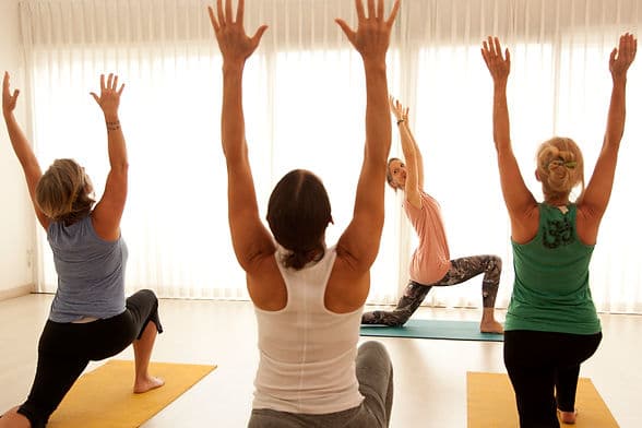 Dru Yoga - Online Class 1