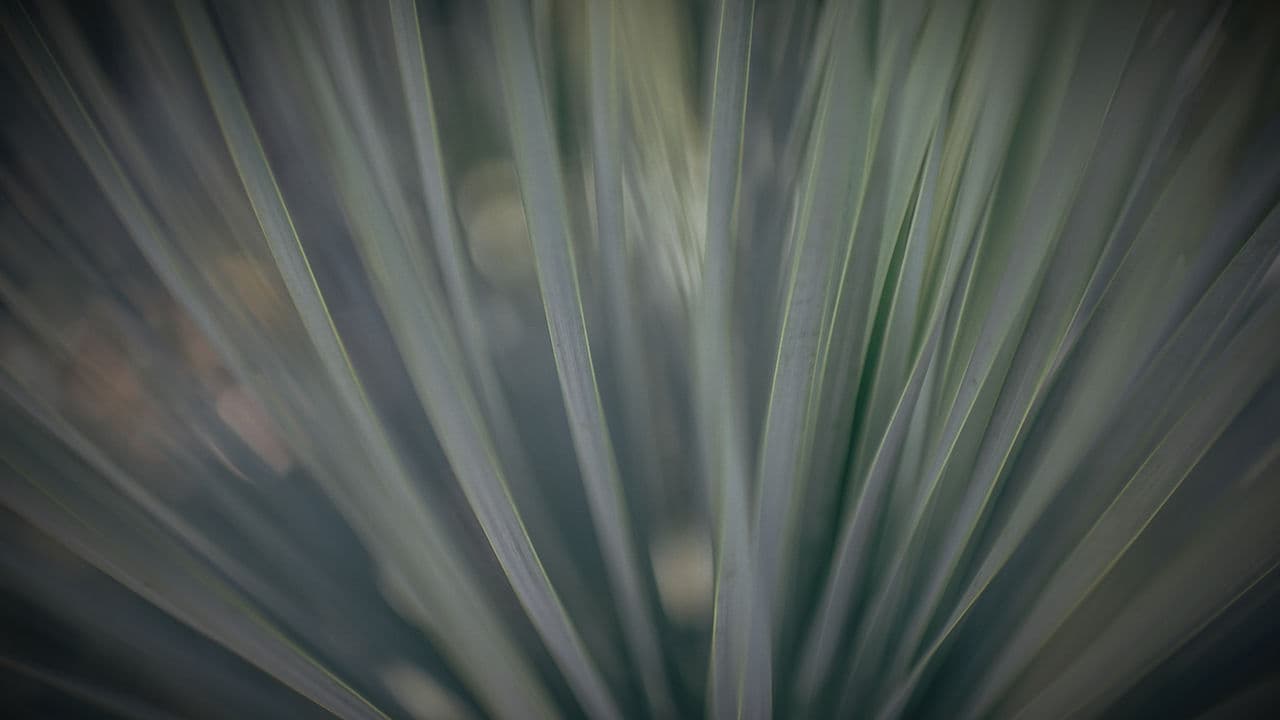 Creative Development Retreat 1