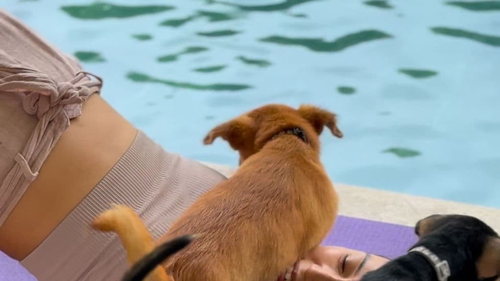 10 April 4.45 PM Puppy Yoga Canggu 1