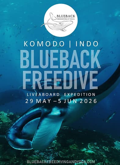 Blueback Komodo Liveaboard Expedition