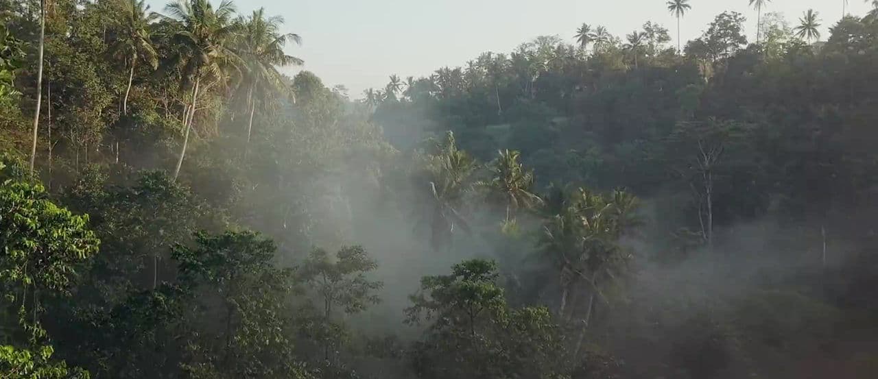 200-Hour Online Yoga Teacher Training 1