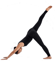 Yoga with Sandra (Pregnancy, Postnatal & General Yoga) logo