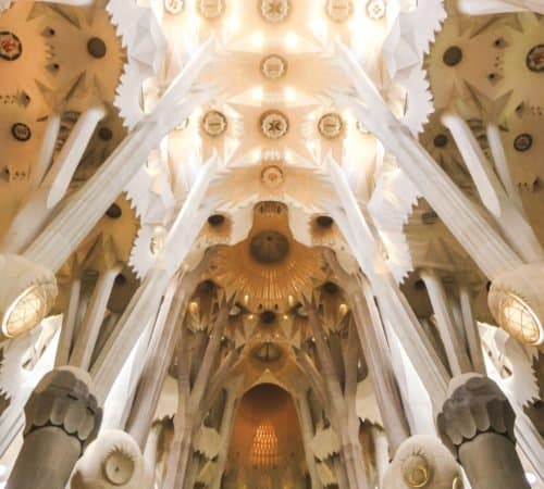 300 Hours Yoga Alliance Teacher Training 1